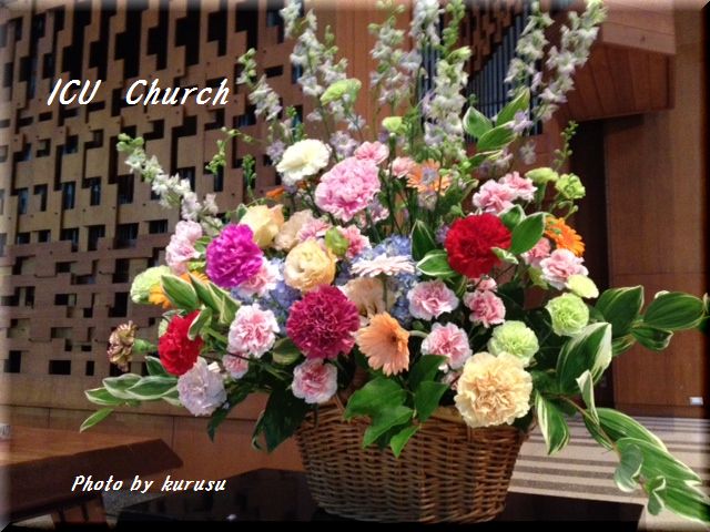 講壇の花２０１２年６月１０日　ＩＣＵ教会